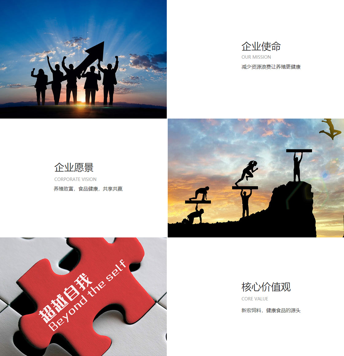 贝博bb艾弗森(图1)